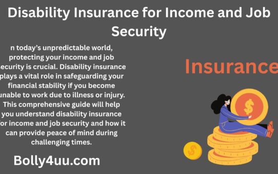 Disability Insurance for Income and Job Security
