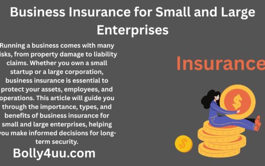 Business Insurance for Small and Large Enterprises