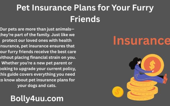 Pet Insurance Plans for Your Furry Friends